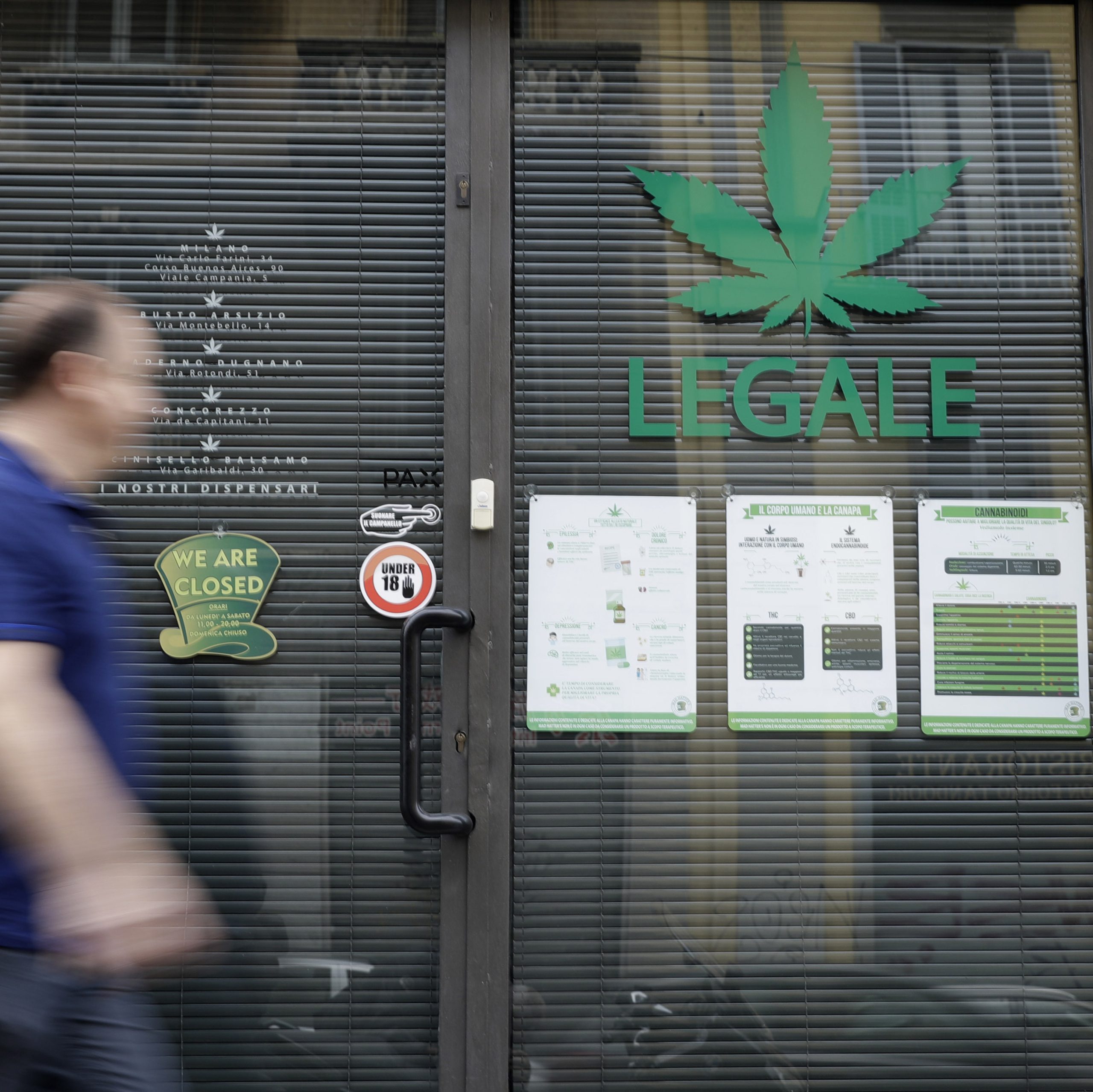 Ekonomika legalizácie marihuany a prečo je dlhodobé investovanie do odvetvia tak náročné