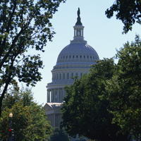 Vrátia sa zahraničné doláre naspäť do USA?