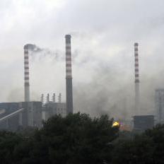 Dar z nebies: Obnoviteľné zdroje v EÚ zachraňujú amerických drevorubačov