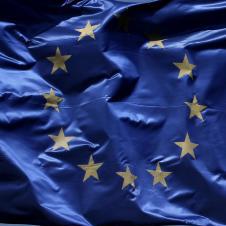 Pri europrojektoch budú vláde radiť KPMG a stengl