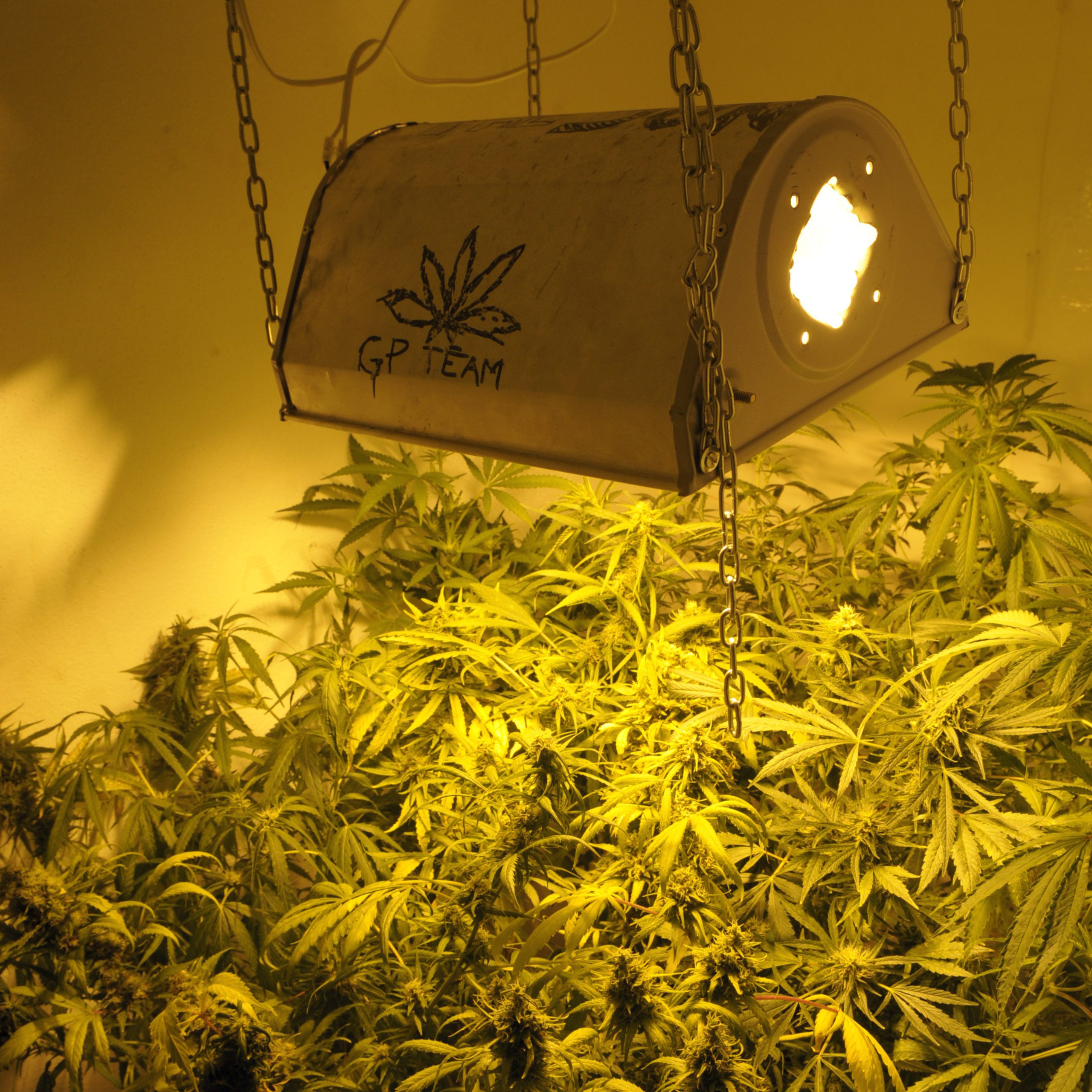 Marihuana rozhýbala v americkom Colorade realitný biznis
