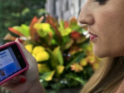 Investujeme cez internet:  Technológie z vás finančného žraloka neurobia