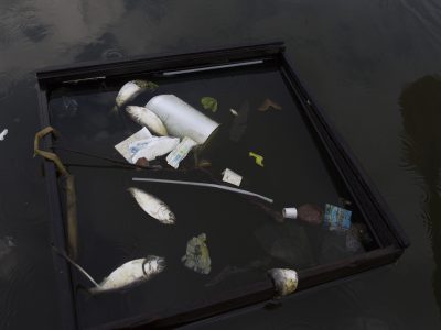 Environmentálna ekonómia: Rast nie je žiadúci, zabíja nás