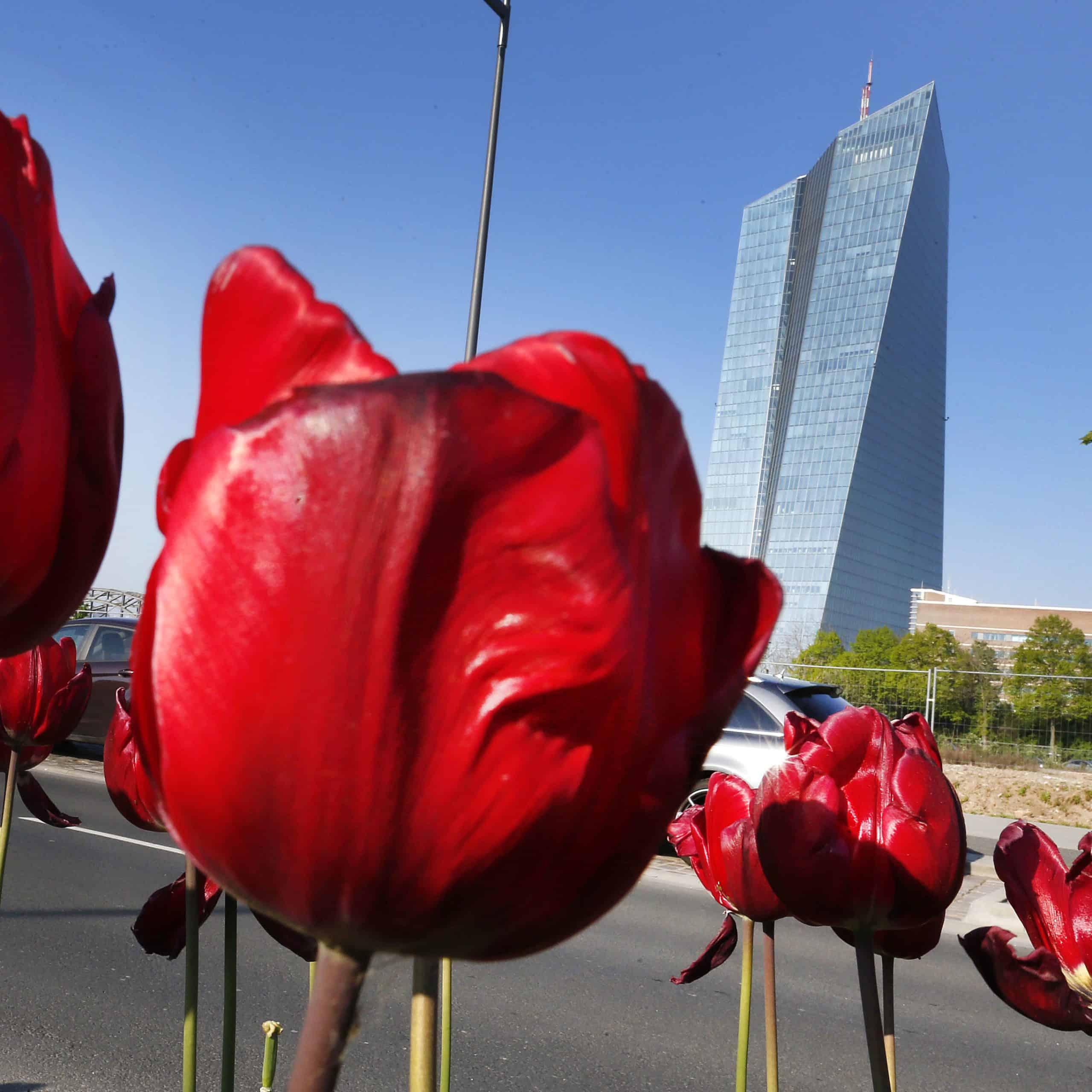 ECB: Banky v eurozóne musia od budúceho roka navýšiť svoje rezervy na stratové úvery