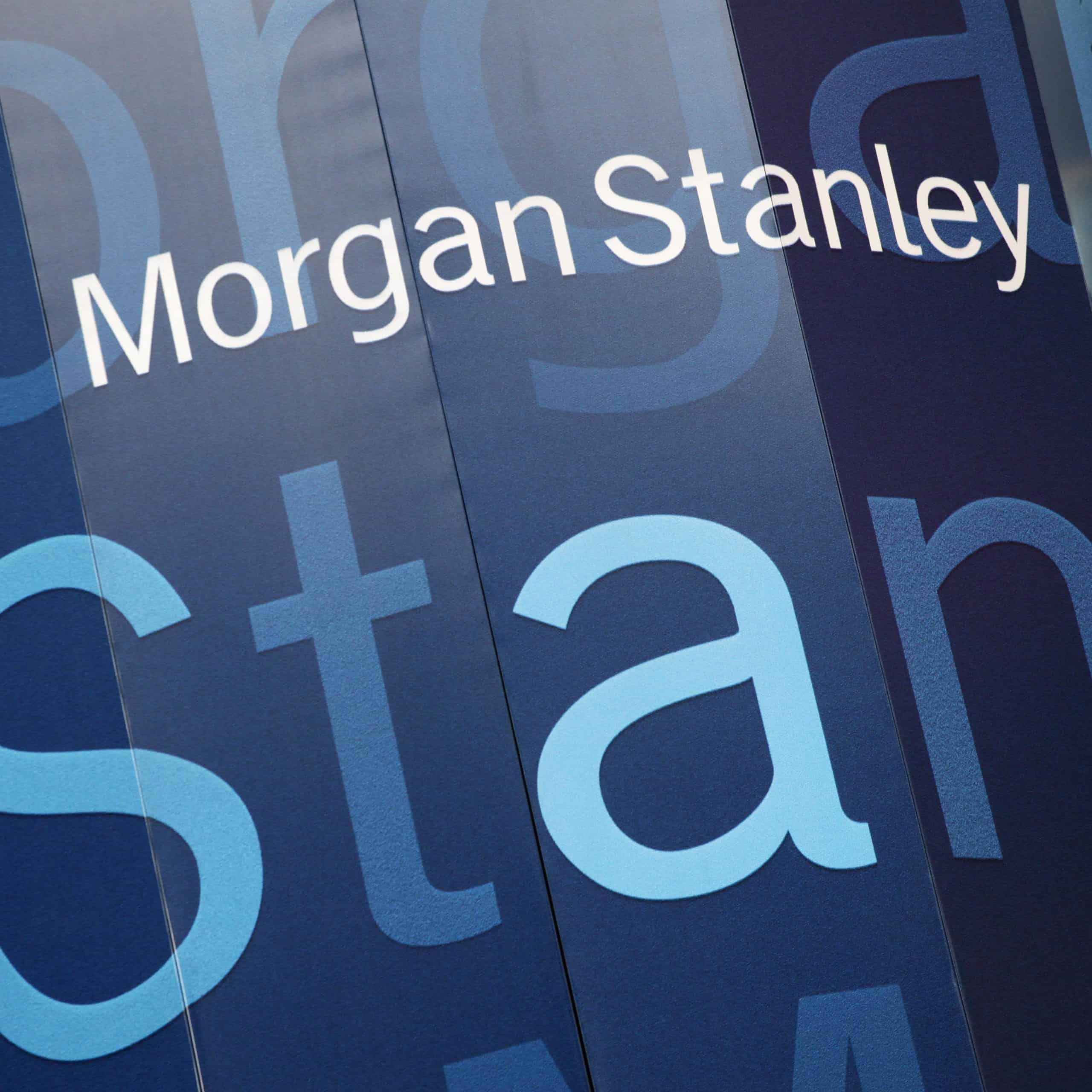 Dve veľké zvieratá, ktoré sa učia spolunažívať, podľa Morgan Stanley