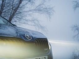 Škoda Auto si upevnila pozíciu na slovenskom trhu s novými autami