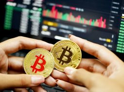 Kryptomeny valcujú trh: Bitcoin od začiatku roka posilnil o 50 percent, hravo poráža hlavné akciové indexy aj zlato