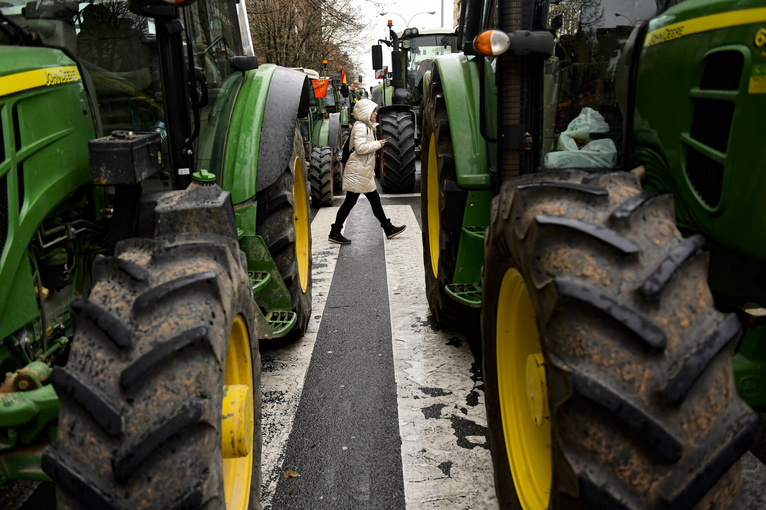 farmári, Madrid, poľnohospodárstvo, protesty, Španielsko