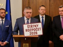 Odborníčka: Vládne prorastové opatrenia sú len kozmetické, rast ekonomiky neprinesú