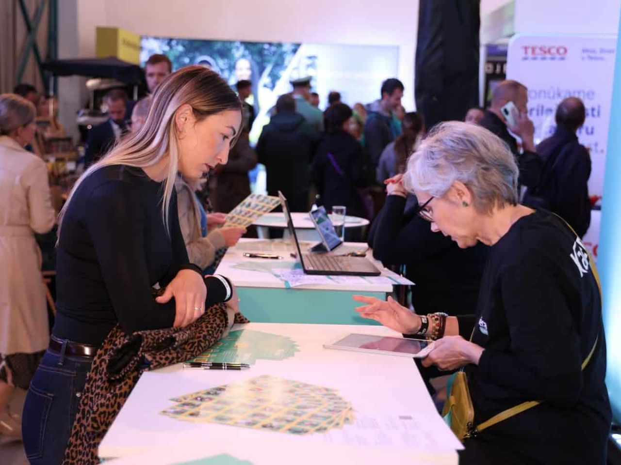 Kariéra EXPO