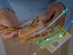 Dôchodok nad 1000 eur bude poberať už 300-tisíc seniorov: Analytici bijú na poplach!