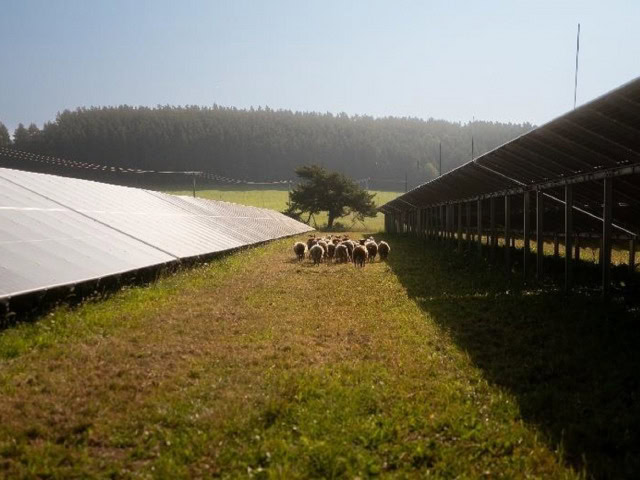 V Nemecku padol rekord: Za deväť mesiacov vyrobili viac solárnej energie než vlani