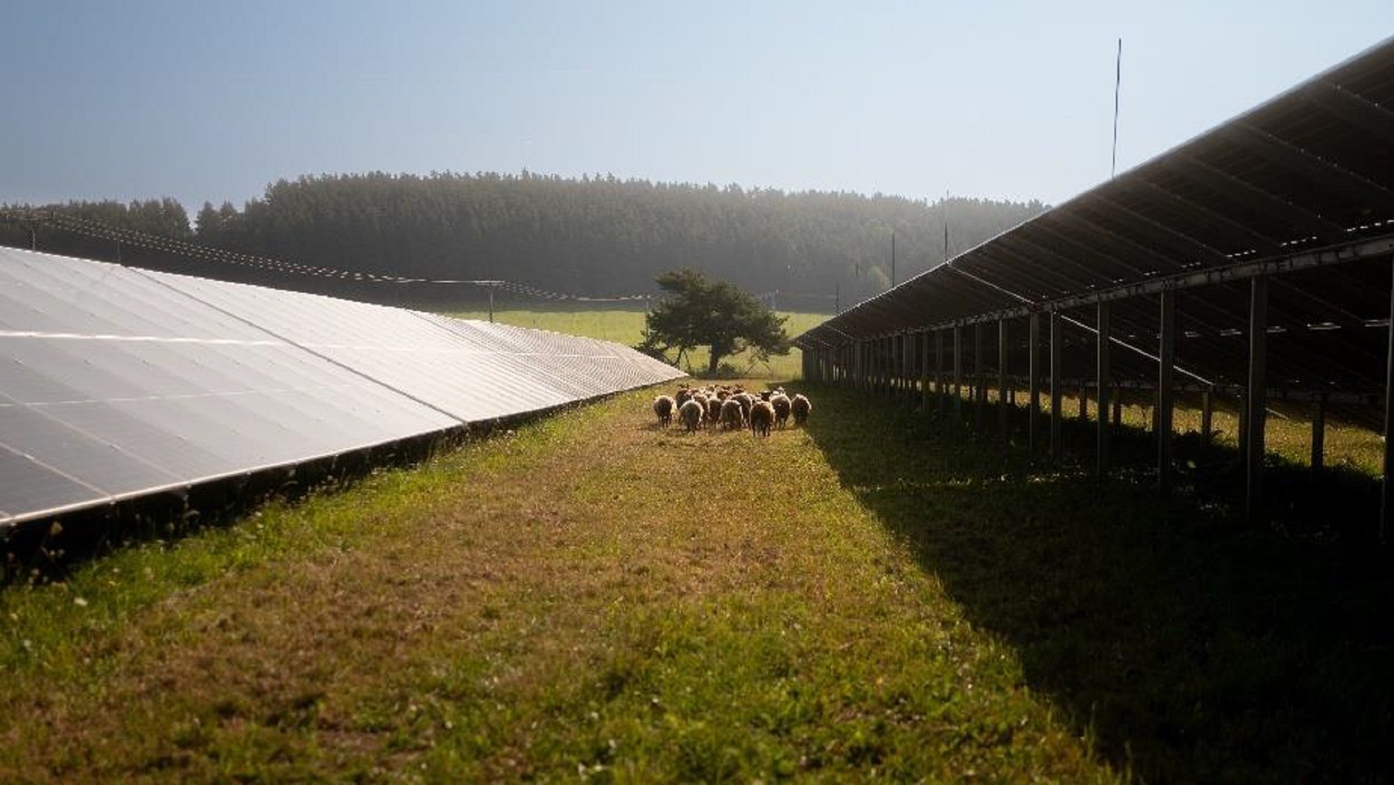 V Nemecku padol rekord: Za deväť mesiacov vyrobili viac solárnej energie než vlani